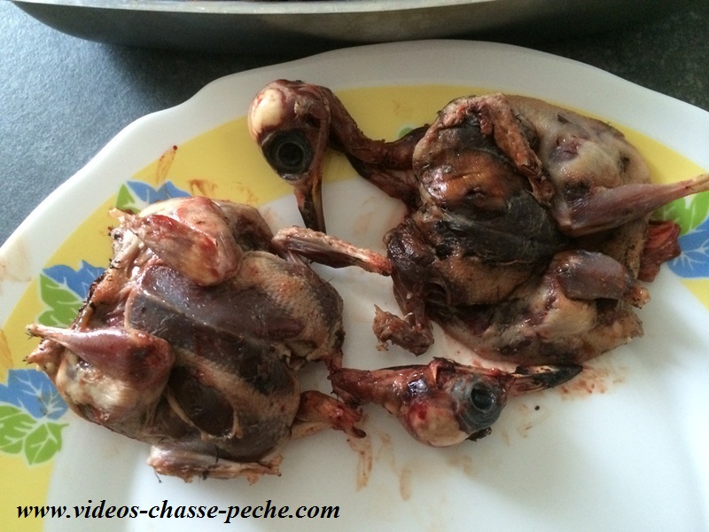 recette grive crapaudine recette grive crapaudine